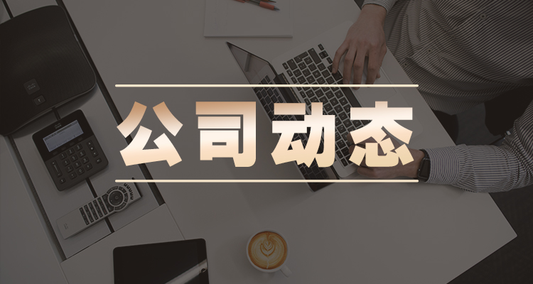 公司动态