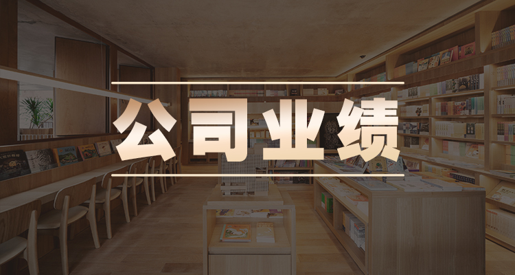 公司业绩