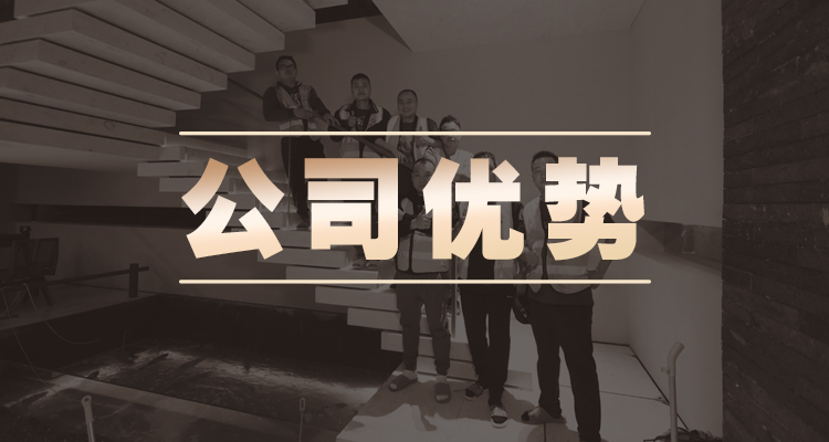公司优势